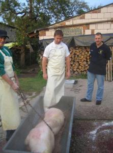 img 74351