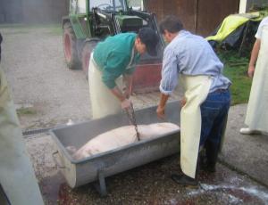 img 74361