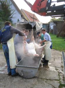 img 74411
