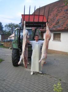 img 74471