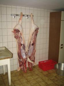 img 74481