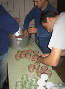 img 74561